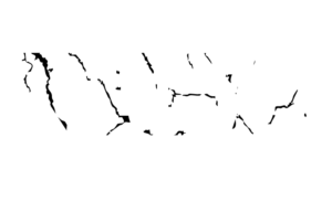 nepaexotics.com